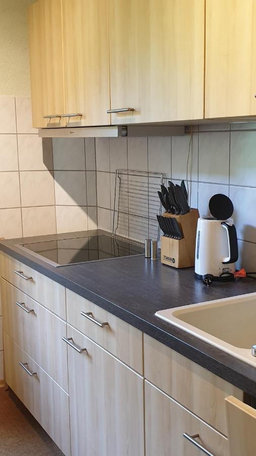 Ferienwohnung An Der Begerburg Dresde Exterior foto